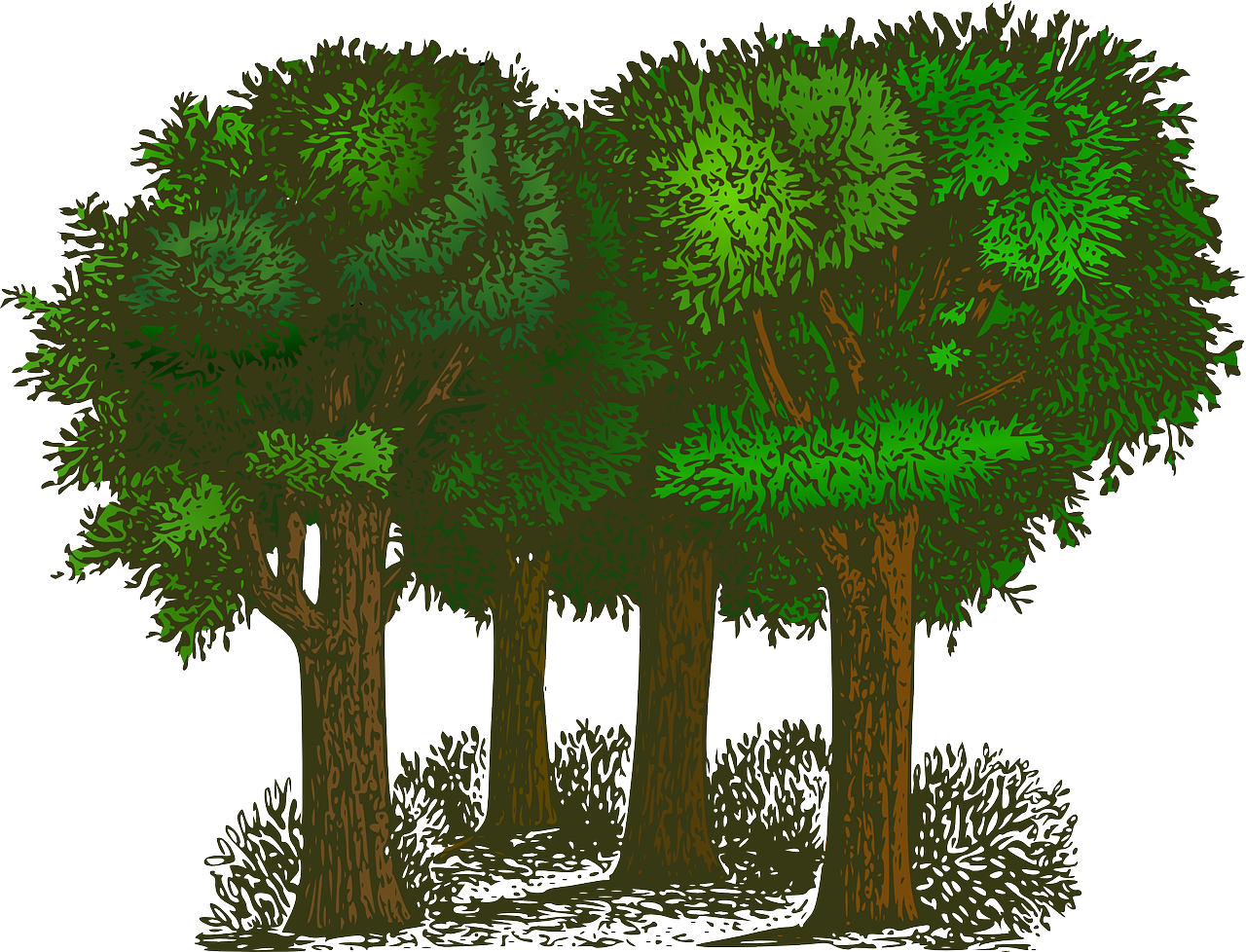 Conservation of Plants and Animals